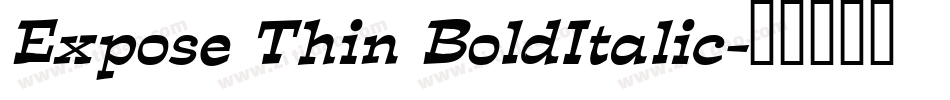 Expose Thin BoldItalic字体转换